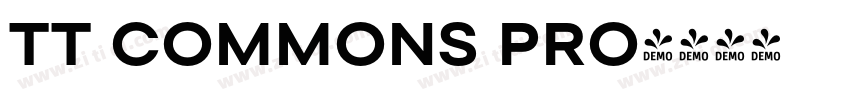 TT COMMONS PRO字体转换